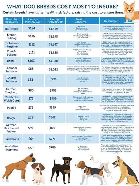 Pet Insurance Cost Dog