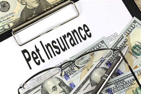 Pet Insurance Free Of Charge Creative Commons Financial 3 Image Pet Insurance Free Of Charge Creative Commons Financial 3 Image