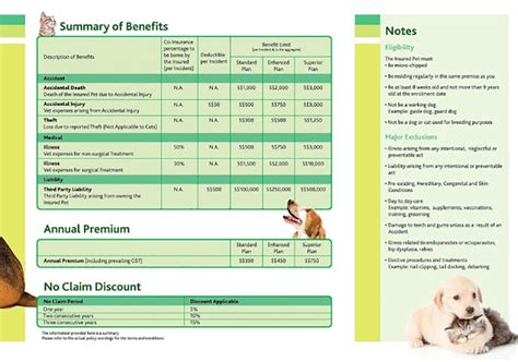 Pet Insurance Policy Pet Insurance Policy