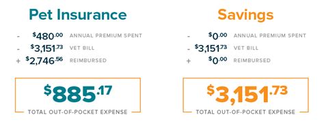 Pet Insurance Vs Savings Managing The Costs Of Vet Care Pet Insurance Vs Savings Managing The Costs Of Vet Care
