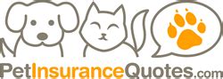 Pet Insurance Wellness Plans Gaining Popularity Pet Insurance Wellness Plans Gaining Popularity
