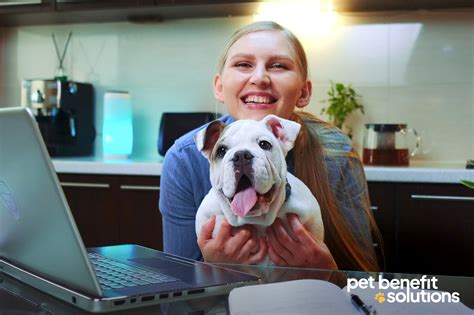 Pet Wellness Plans That Protect Your Furry Friend S Smile Pet Benefit Pet Wellness Plans That Protect Your Furry Friend S Smile Pet Benefit