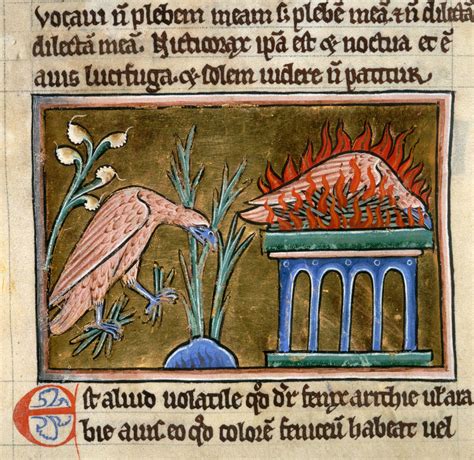 Phoenix The Earth Times