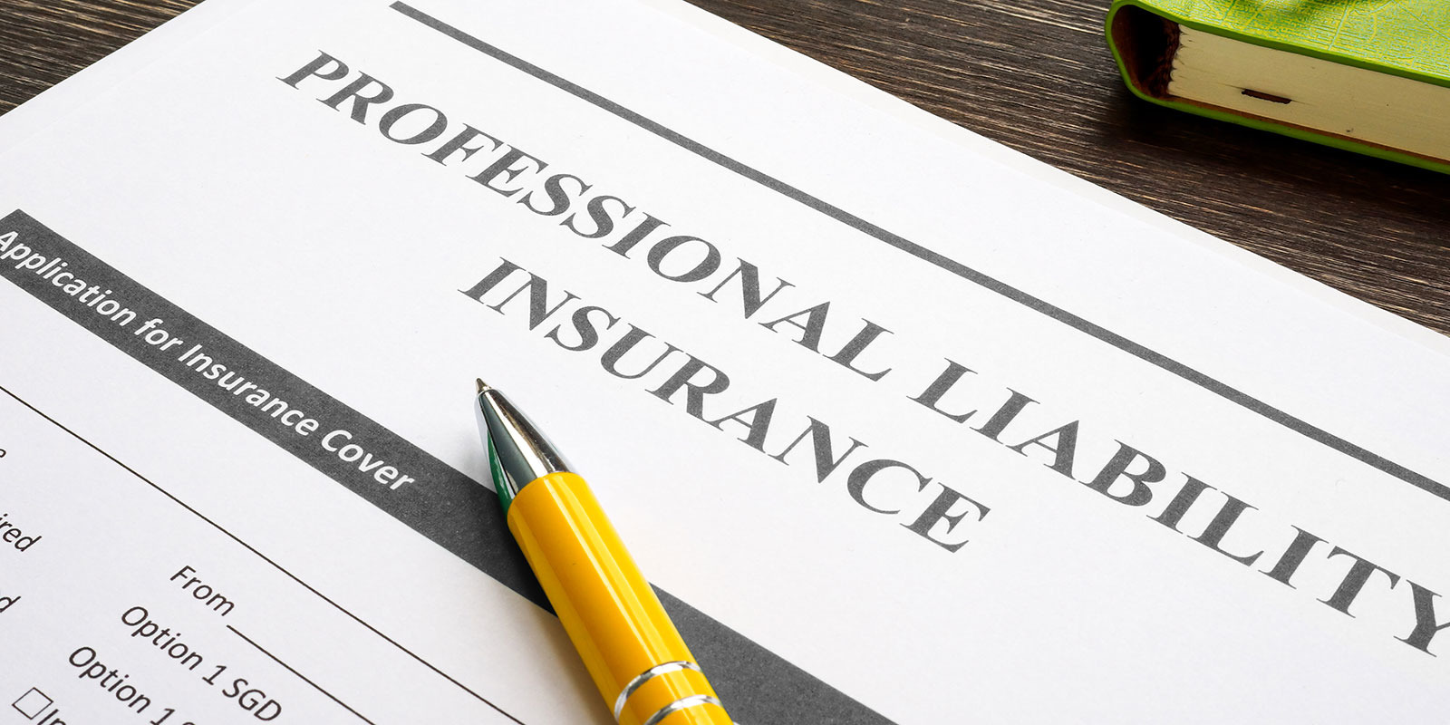 Professional Liability Insurance Infographic
