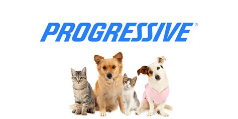 Progressive Pet Insurance Review For 2019 Coverage Benefits Cost Progressive Pet Insurance Review For 2019 Coverage Benefits Cost