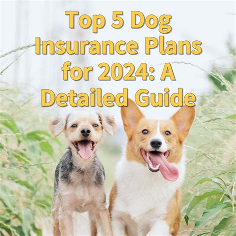 Recommended Dog Insurance