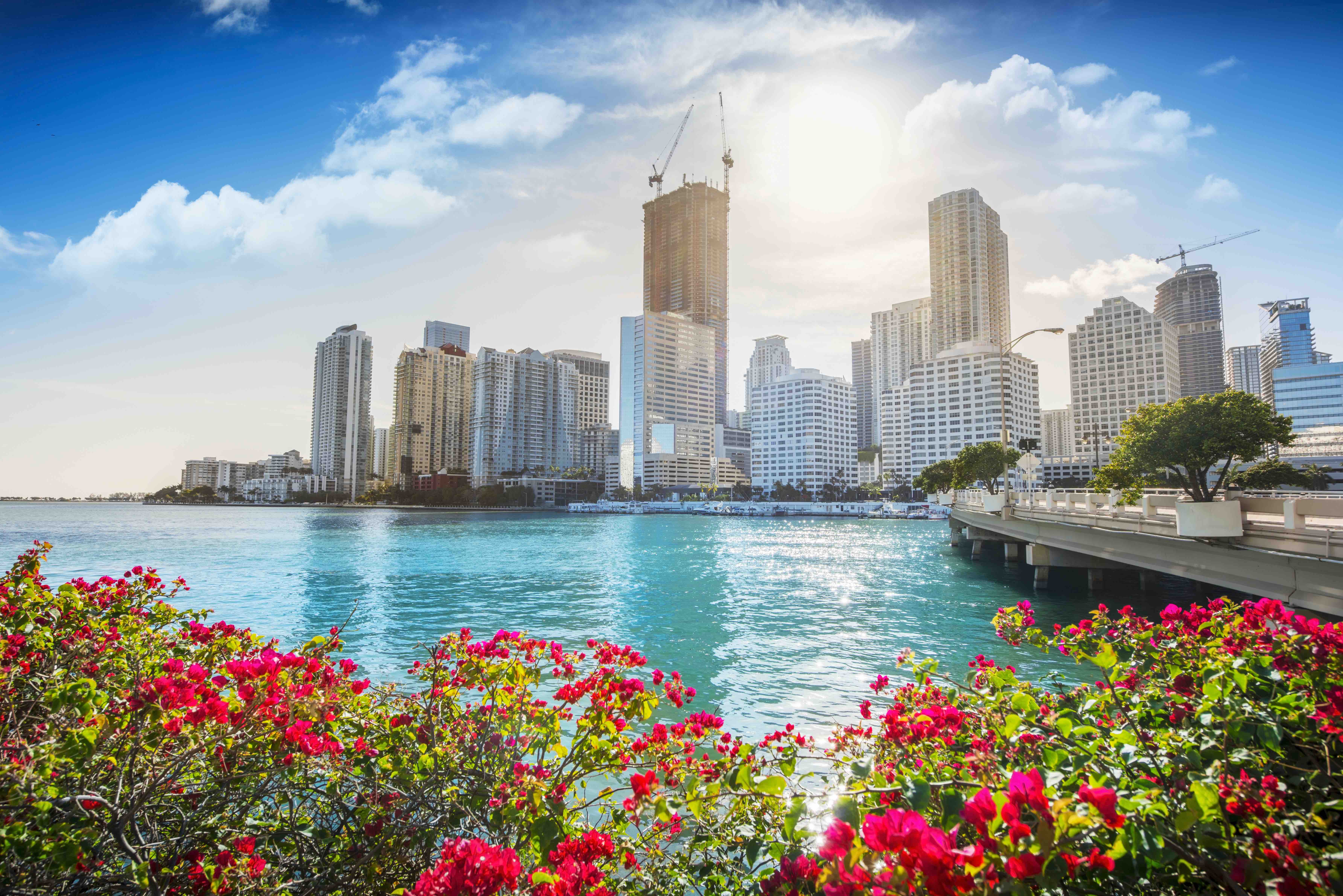 Renters Insurance Miami