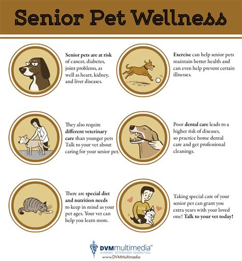 Senior Pet Wellness Chews Landing Veterinary Hospital Senior Pet Wellness Chews Landing Veterinary Hospital