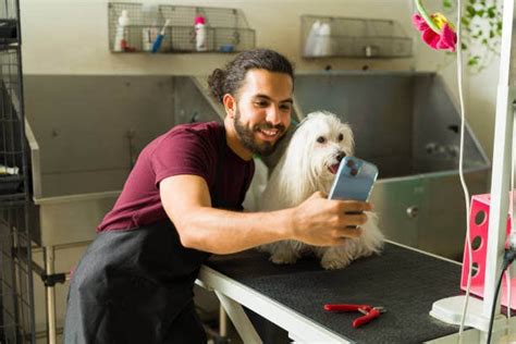 Software For Pet Grooming Businesses What To Look For