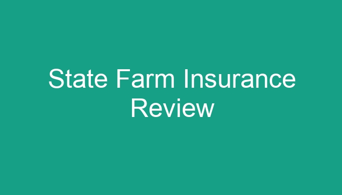 State Farm Insurance Calculator