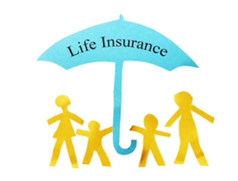 The 3 Essential Types Of Life Insurance Explained Mbhealth Insurance The 3 Essential Types Of Life Insurance Explained Mbhealth Insurance