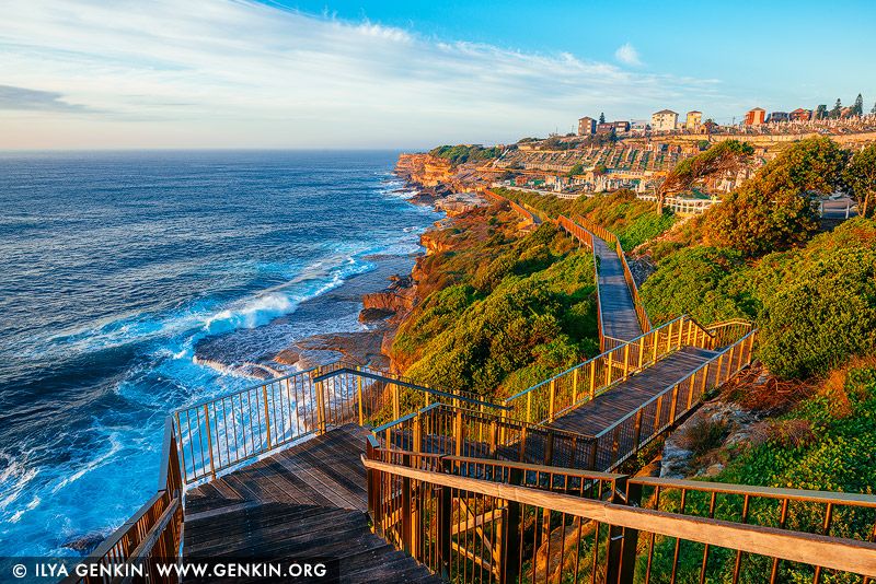 The Spectacular Bondi To Coogee Beach Coastal Walk Sydney The Spectacular Bondi To Coogee Beach Coastal Walk Sydney