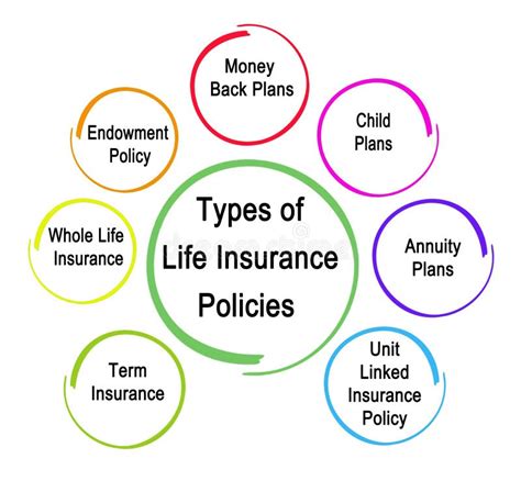 Types Of Life Insurance Explained In Detail Insurechance Types Of Life Insurance Explained In Detail Insurechance
