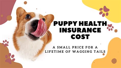 Understanding Pet Insurance Cost Benefits 2024