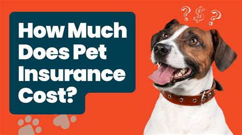 Unleash A Seamless Sustainable And Cost Effective Pet Insurance