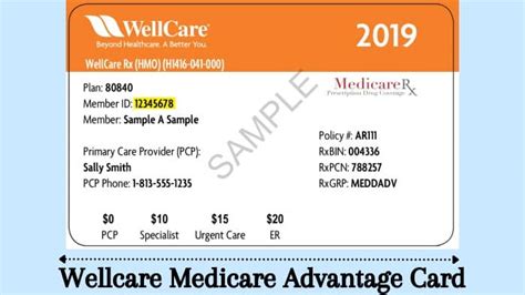 Well Care Insurance Well Care Insurance