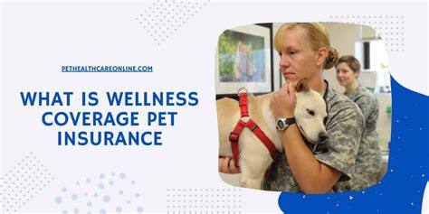 Wellness Insurance For Pets May 2025 Wellness Insurance For Pets May 2025