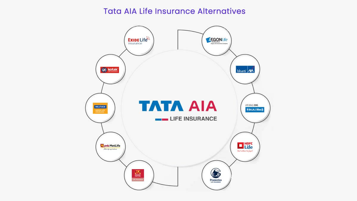 What Does The Standard Auto Insurance Policy Typically Include Aia What Does The Standard Auto Insurance Policy Typically Include Aia