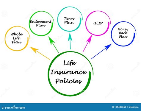 What Is A Life Insurance Policy For At Thomas Simpson Blog What Is A Life Insurance Policy For At Thomas Simpson Blog