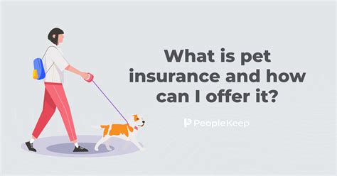 What Is Pet Insurance And How Can I Offer It What Is Pet Insurance And How Can I Offer It