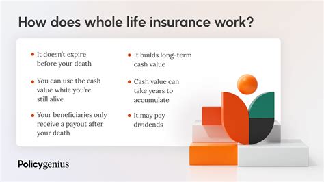 What Is Whole Life Insurance Mean