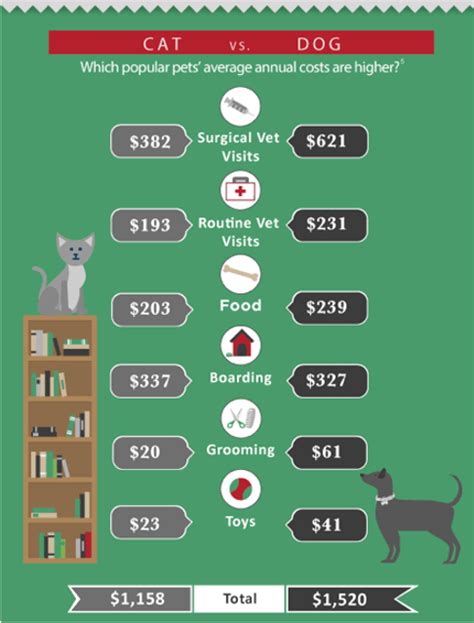 What Pet Insurance Costs Money What Pet Insurance Costs Money