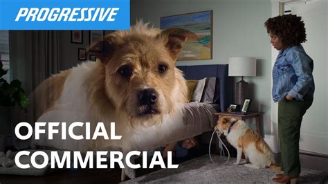 Who S A Good Owner Dog Progressive Insurance Commercial Youtube Who S A Good Owner Dog Progressive Insurance Commercial Youtube