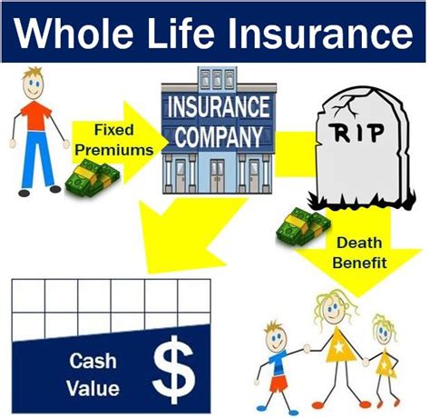 Whole Life Life Insurance Definition May 2025 Whole Life Life Insurance Definition May 2025