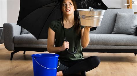 Why Rental Insurance For Apartments Is Worth It Chicago Rentals Why Rental Insurance For Apartments Is Worth It Chicago Rentals