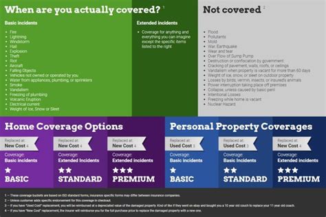 Why You Should Use Young Alfred To Purchase Homeowners Insurance