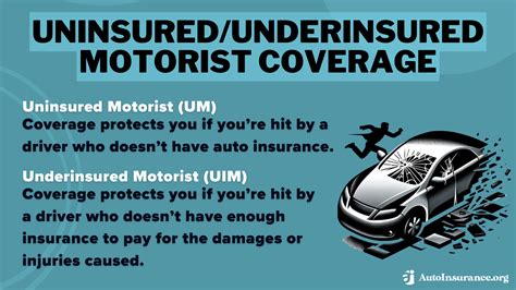 Wisconsin Minimum Auto Insurance Requirements For 2025 Basic Wi Wisconsin Minimum Auto Insurance Requirements For 2025 Basic Wi